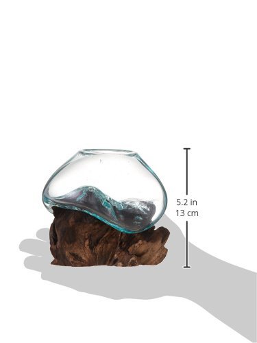 Eco-Friendly Molten Glass & Wood Terrarium for Plants – 4.5