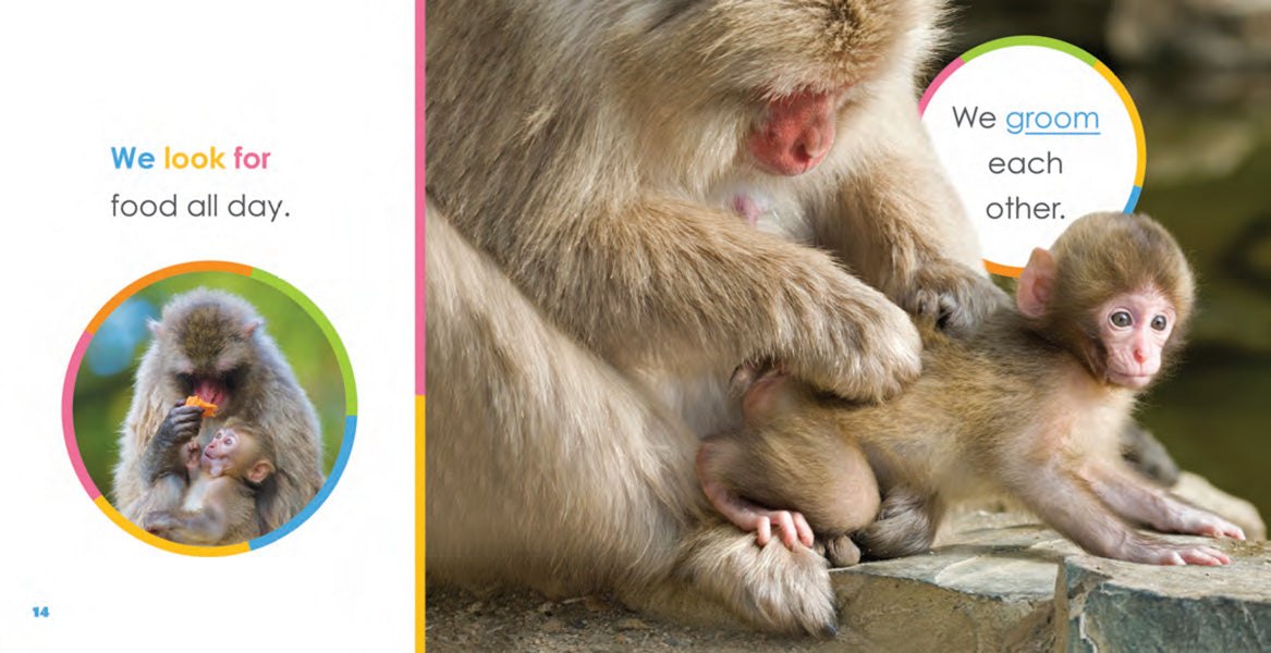 Adorable Baby Monkeys Book - ISBN 9781640260771 - Perfect for Kids' Bedtime Stories & Early Learning