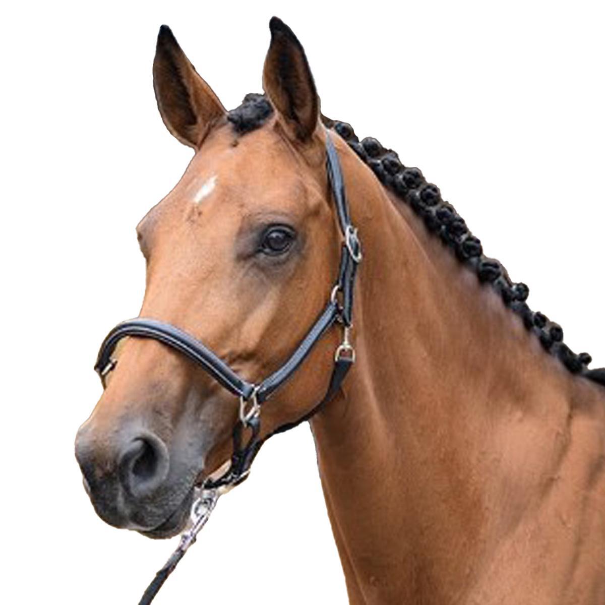 Jump'in Grooming Halter for Horses - Adjustable & Durable One Collection - Perfect for Training, Show Prep & Daily Grooming