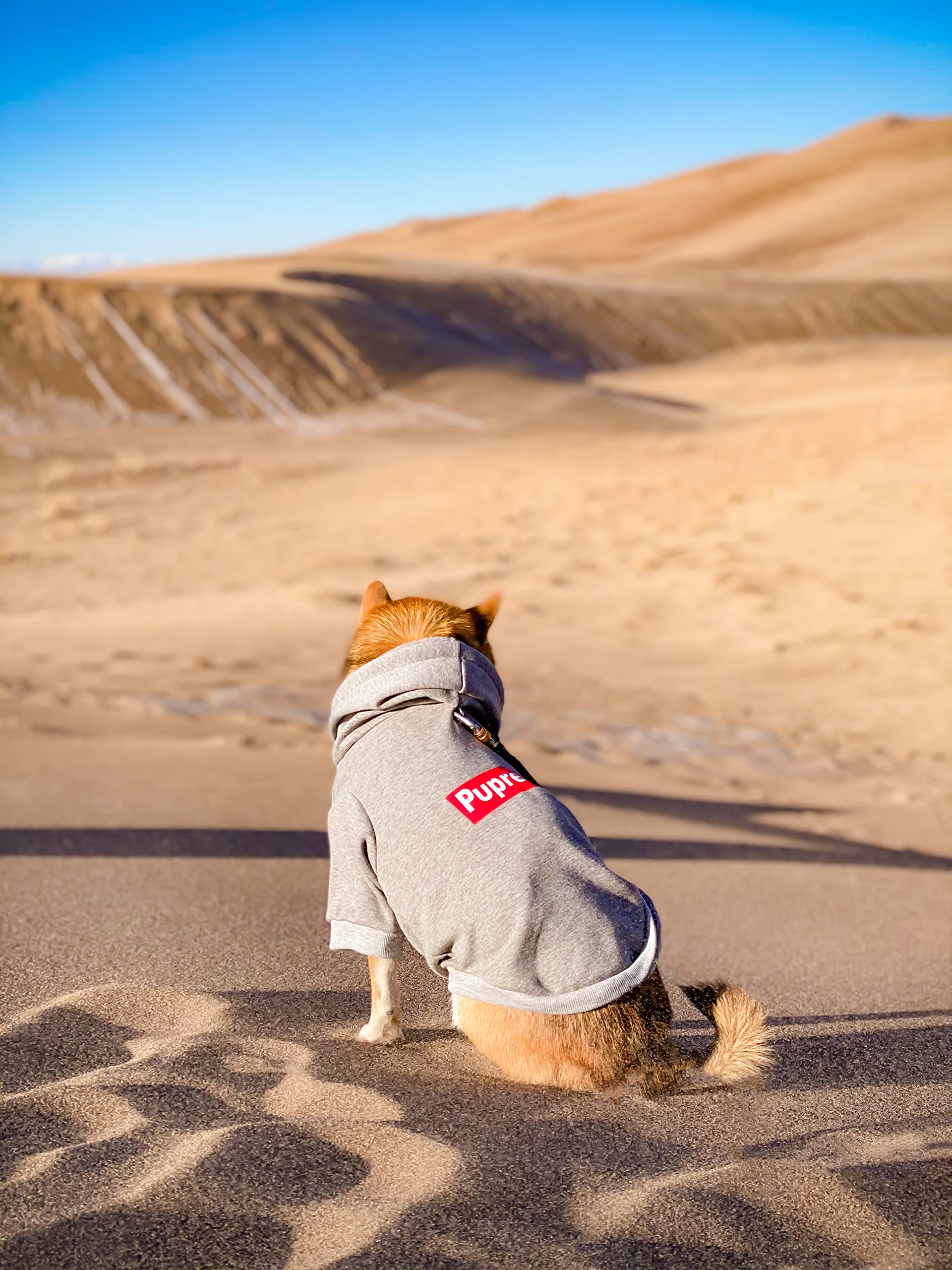 ChoChoCho Pup Dog Hoodie - Stylish Cotton Pet Sweater for Small, Medium, Large Dogs & Cats (4XL) - Cozy Streetwear Outfit for Winter Walks & Indoor Comfort