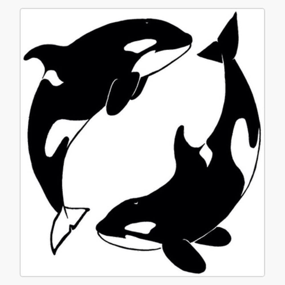 Orca Whale Vinyl Sticker - Waterproof, Durable 5
