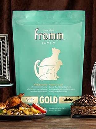Fromm Adult Gold Dry Cat Food - Premium High Protein Chicken Recipe for Adult Cats - 10 lb Bag - Supports Healthy Skin & Coat for Indoor & Outdoor Cats