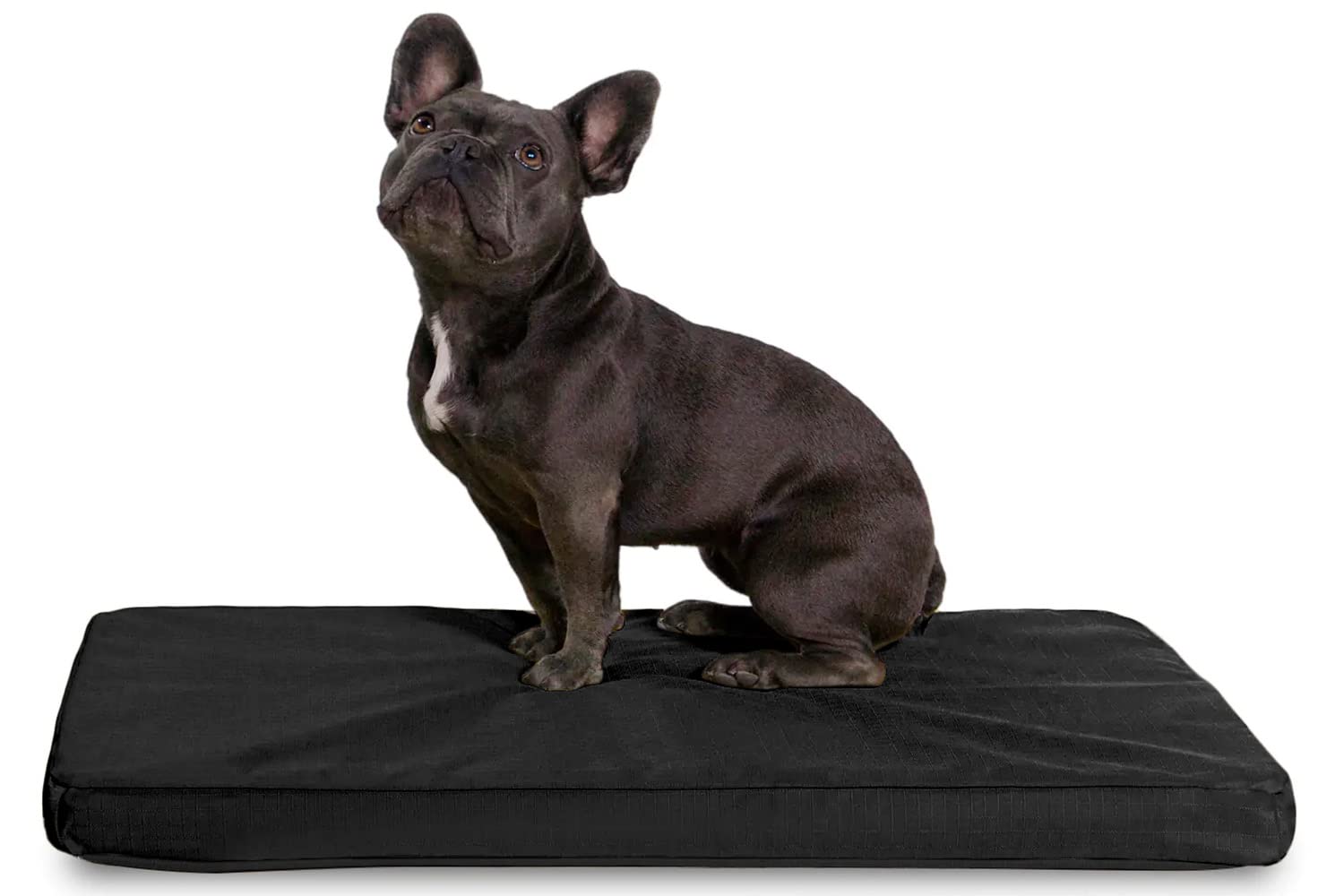 K9 Ballistics Tough Orthopedic Dog Crate Pad - Washable, Durable & Waterproof Dog Bed for Small Dogs (29