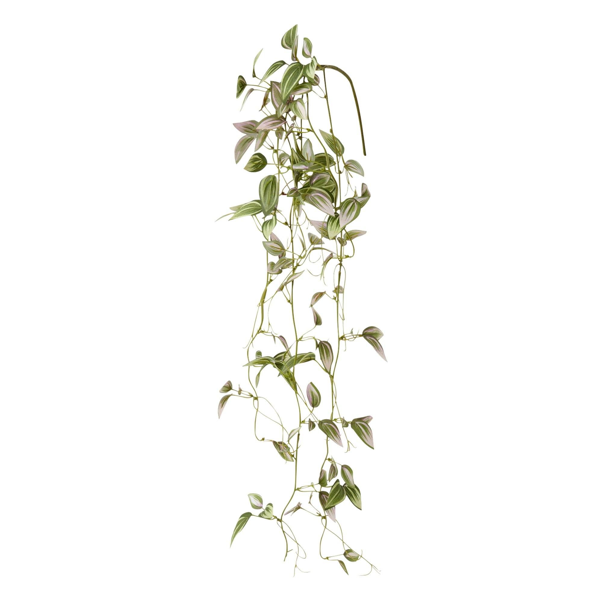 Pothos Pink Climbing Plant - Easy Care Indoor Hanging Vine for Home & Office Decor - Perfect for Shelves, Walls, and Balconies