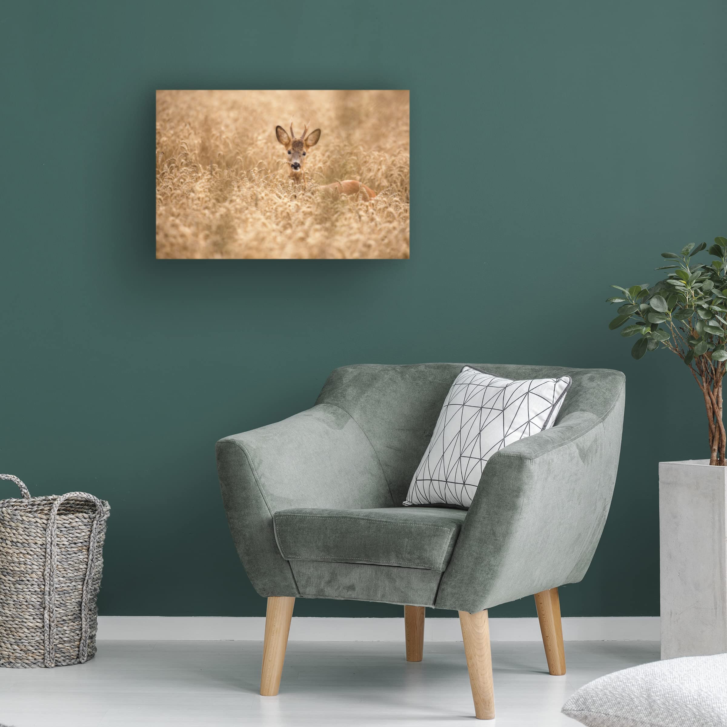 Deer In The Field Canvas Wall Art Print by Allan Wallberg - Nature Wildlife Home Decor for Living Room, Bedroom & Office