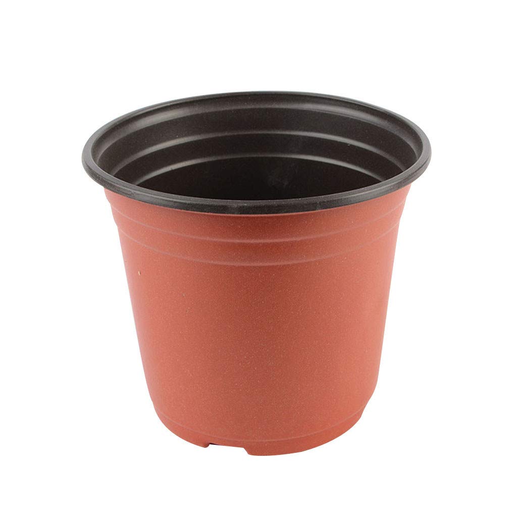 LSN 50-Pack Plastic Nursery Pots for Plants - 5 Sizes Seed Starter Pots, Flower Plant Containers | Indoor Gardening, Greenhouse, Home Garden Planting