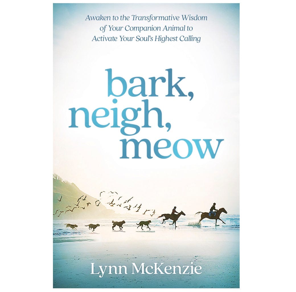 Bark, Neigh, Meow - Pet Sound Toys for Dogs, Cats & Horses | Interactive Animal Toys for Training & Playtime Fun