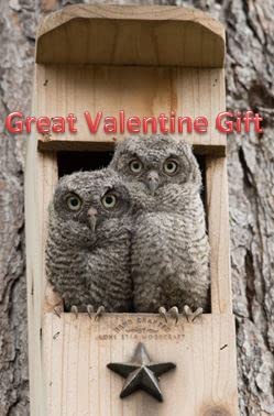 Screech Owl House - Wooden Nesting Box with Rectangular Opening - Perfect for Backyard Birdwatching & Wildlife Habitat