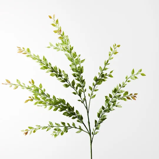 Myrtle Leaf Spray - Natural Aromatherapy Essential Oil Mist for Relaxation & Stress Relief | Perfect for Home, Office & Spa Use