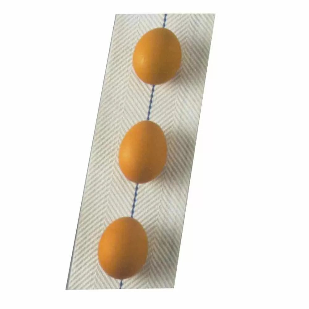 Feather Glide Egg Belts - Comfortable & Stylish Waist Support for Yoga, Running & Fitness - Perfect for Active Women & Men