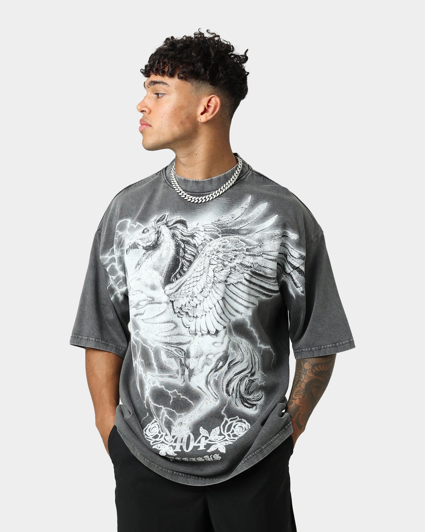 Vintage Pegasus Graphic T-Shirt for Men & Women - Soft Cotton Charcoal Tee - Casual Wear & Retro Style Outfit