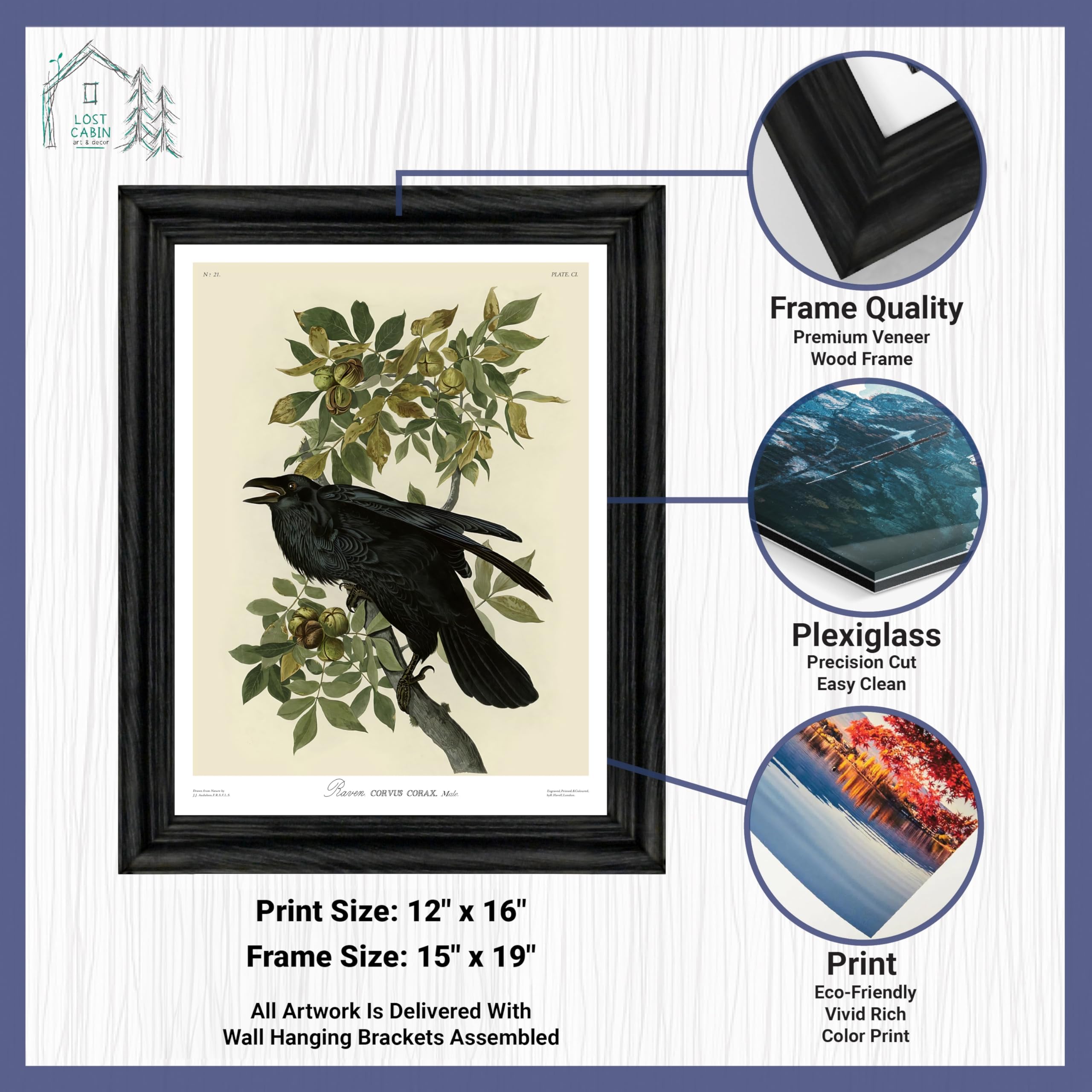 James Audubon Raven Framed Poster - Premium Wall Art Print for Nature & Wildlife Enthusiasts - Perfect for Home, Living Room, Office & Study Decor