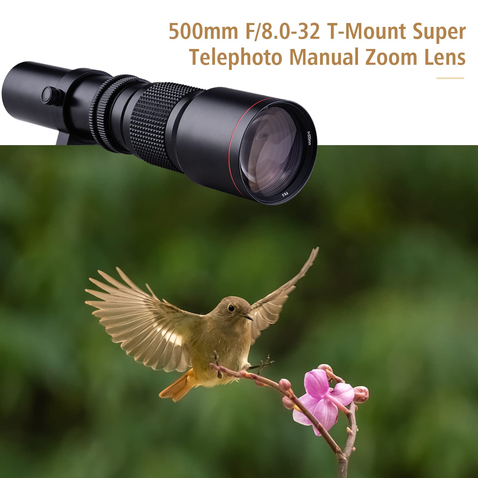 Andoer 500mm F/8.0-32 Manual Telephoto Zoom Lens with 2X Teleconverter & T2-EOS Adapter for Canon EOS Rebel T7/T6/T5/80D/70D - Perfect for Wildlife, Sports & Long-Distance Photography