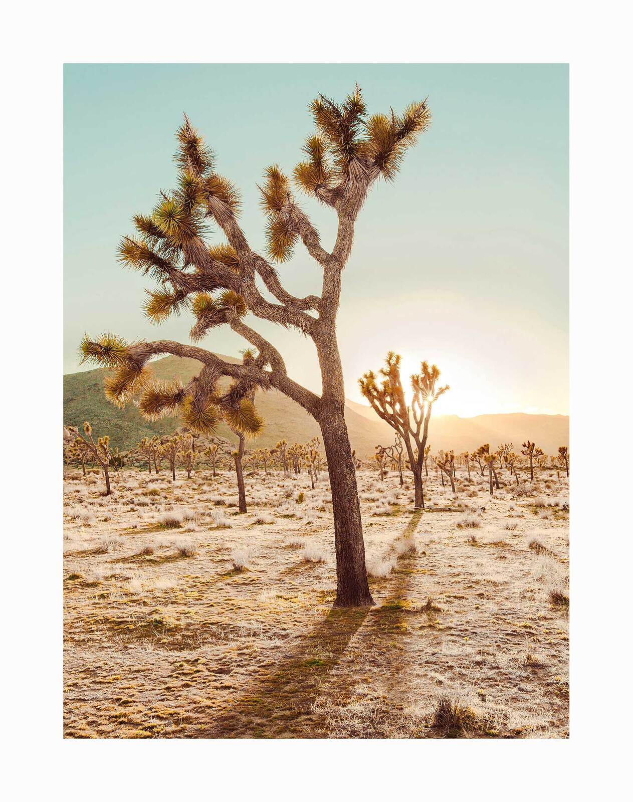 Cadiz Valley Landscape Art Print - High Quality Unframed Wall Decor for Living Room, Bedroom & Office