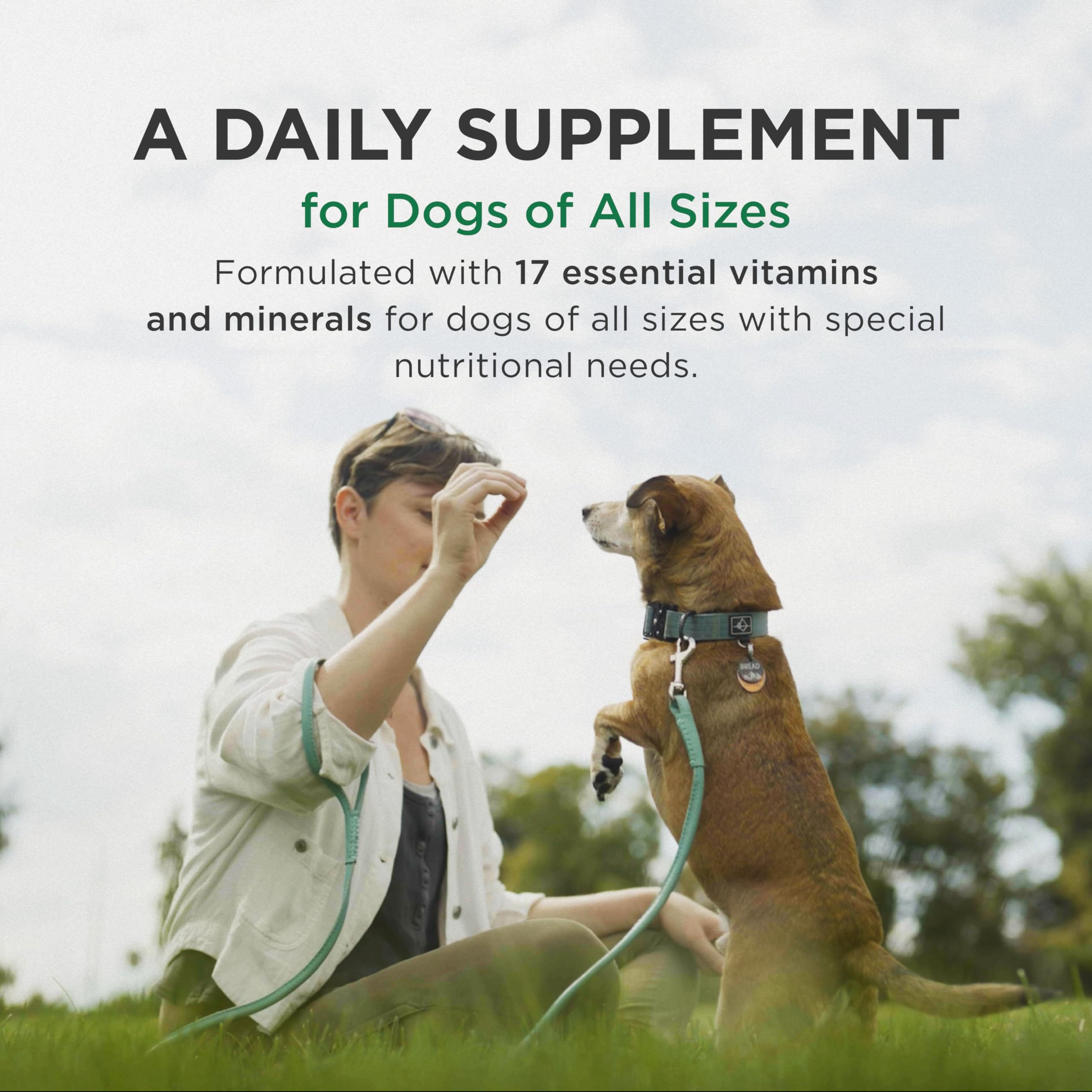 Pet-Tabs Multivitamin & Mineral Chewable Supplement for Dogs - 180 Count Bottle | Supports Immune Health, Skin & Coat, Joint Care | Perfect for Daily Nutrition & Active Lifestyles