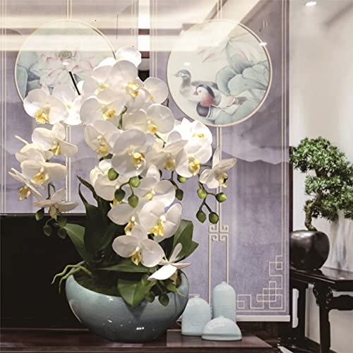 White Artificial Orchid Flowers in Blue Ceramic Vase - Phalaenopsis Fake Flower Arrangement for Home & Office Decor - Perfect for Wedding Centerpieces, Table Decorations & Living Room Accents
