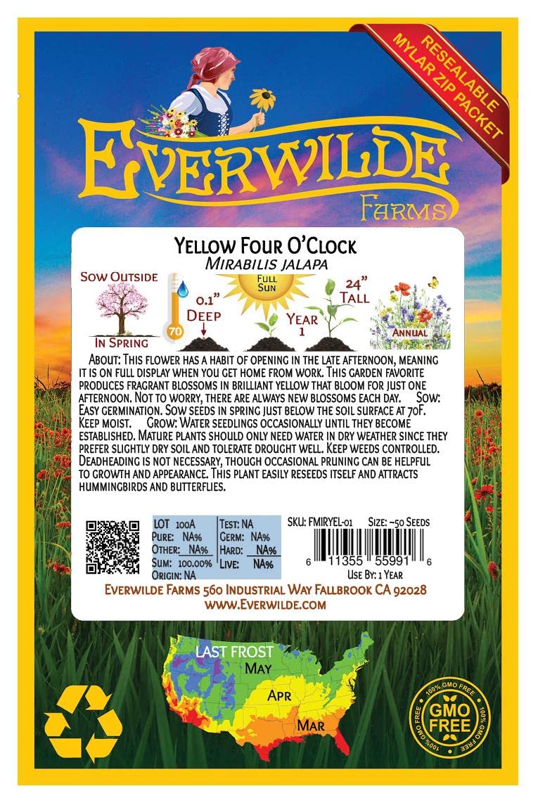 Everwilde Farms - 50 Yellow Four O'Clock Wildflower Seeds - Gold Vault Jumbo Seed Packet for Garden Landscaping & Outdoor Decor