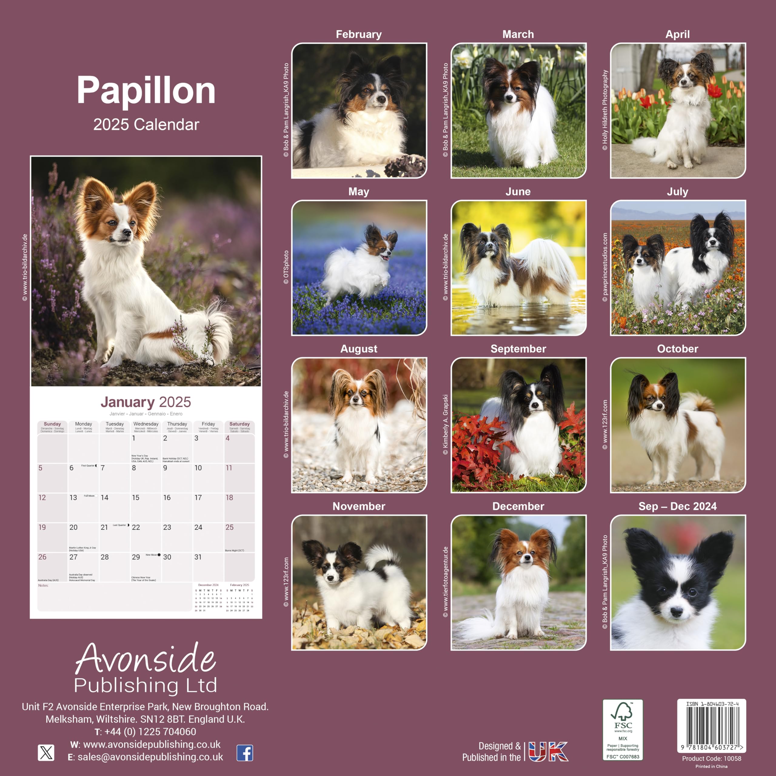 2025 Papillon Dog Breed Wall Calendar | 16-Month Square Pet Calendar for Home & Office Decor | Perfect Gift for Dog Lovers