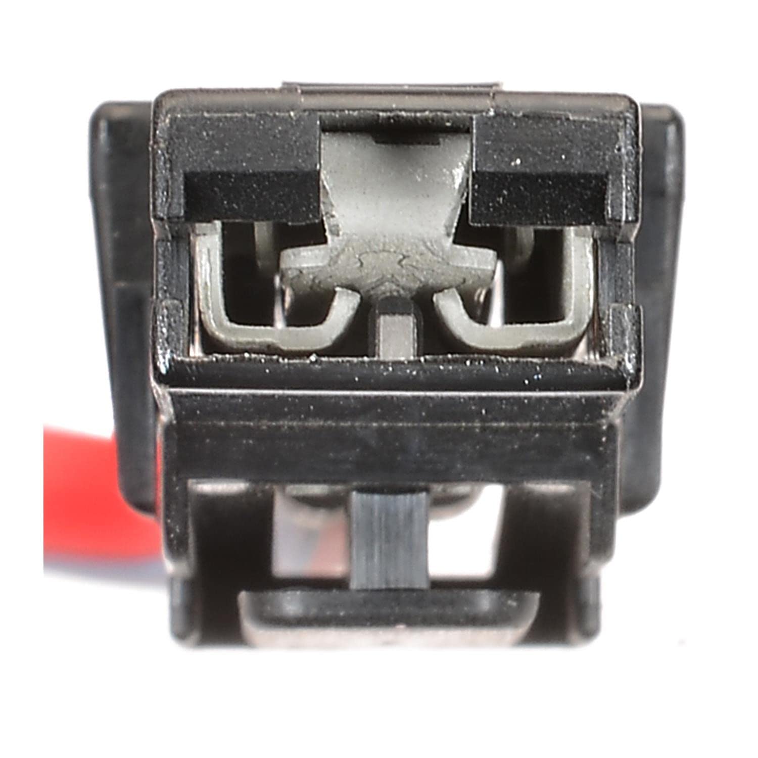 Standard Motor Pigtail Socket S843 - Auto Electrical Repair Part