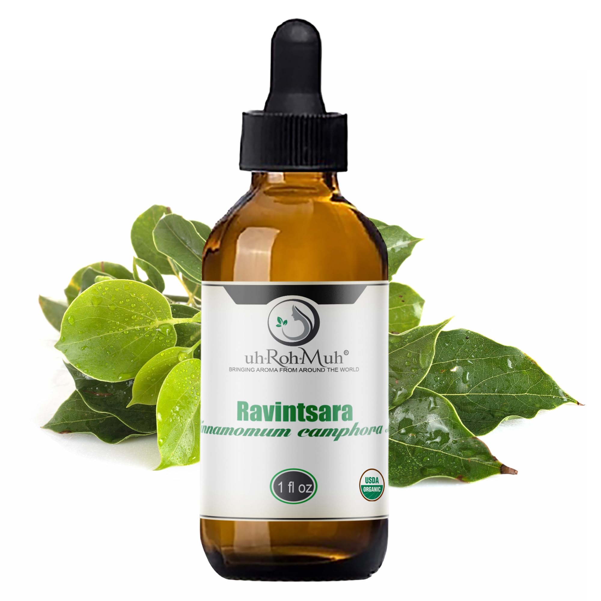 100% Pure Organic Ravintsara Essential Oil for Diffusers & Aromatherapy - USDA Certified, Madagascar Sourced Cinnamomum Camphora Oil (1oz) - Perfect for Stress Relief, Meditation & Home Spa Relaxation
