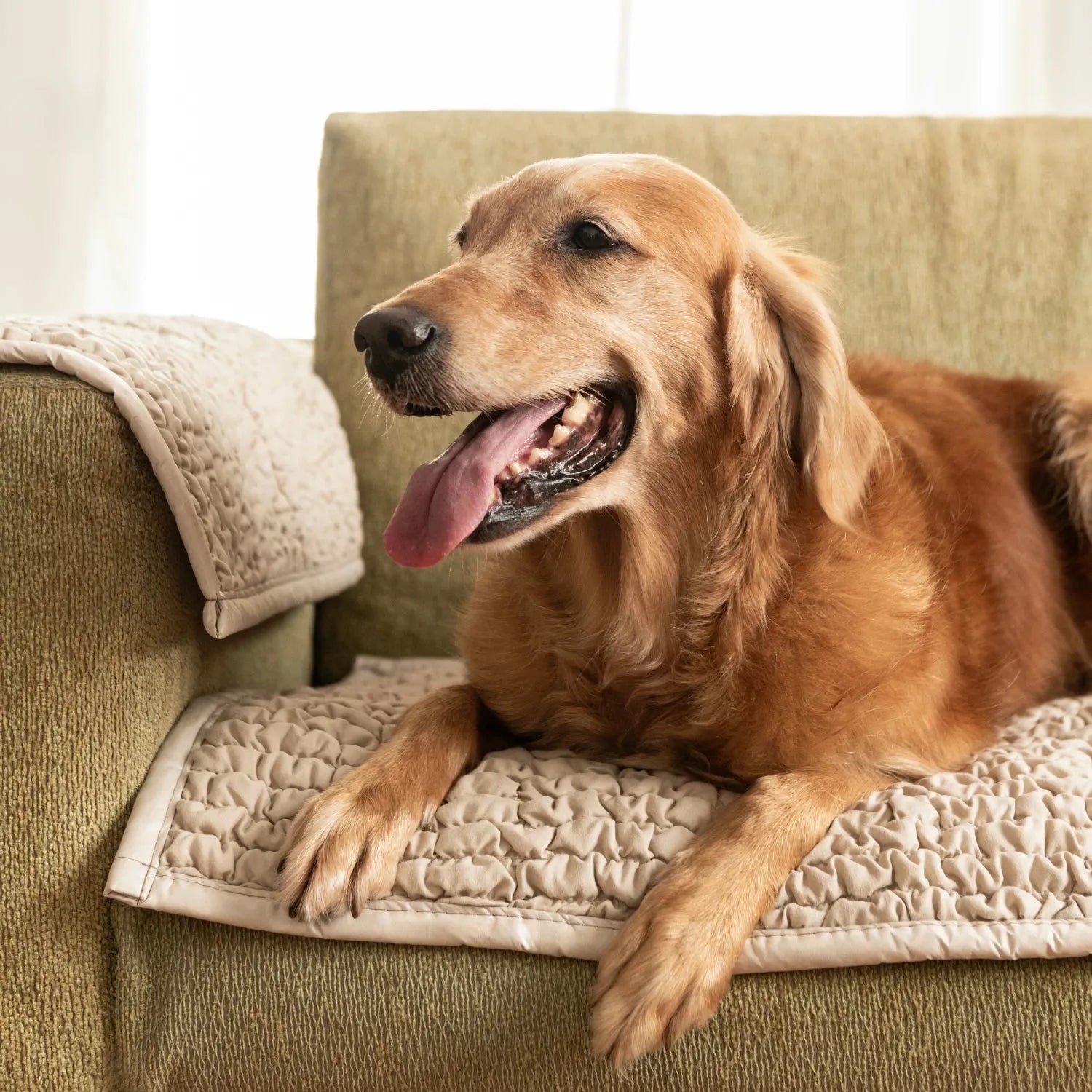 Waterproof Dog Blanket Armchair Cover - Soft Pet Bed Protector for Furniture, Washable & Non-Slip - Perfect for Sofas, Couches, and Recliners