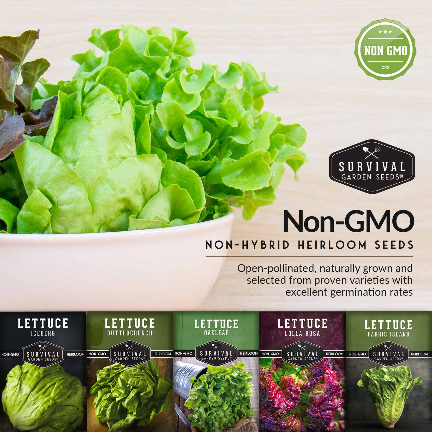 5 Lettuce Seed Collection - Buttercrunch, Oakleaf, Lolla Rosa, Parris Island & Iceberg Varieties for Home Gardening, Salads & Fresh Eating