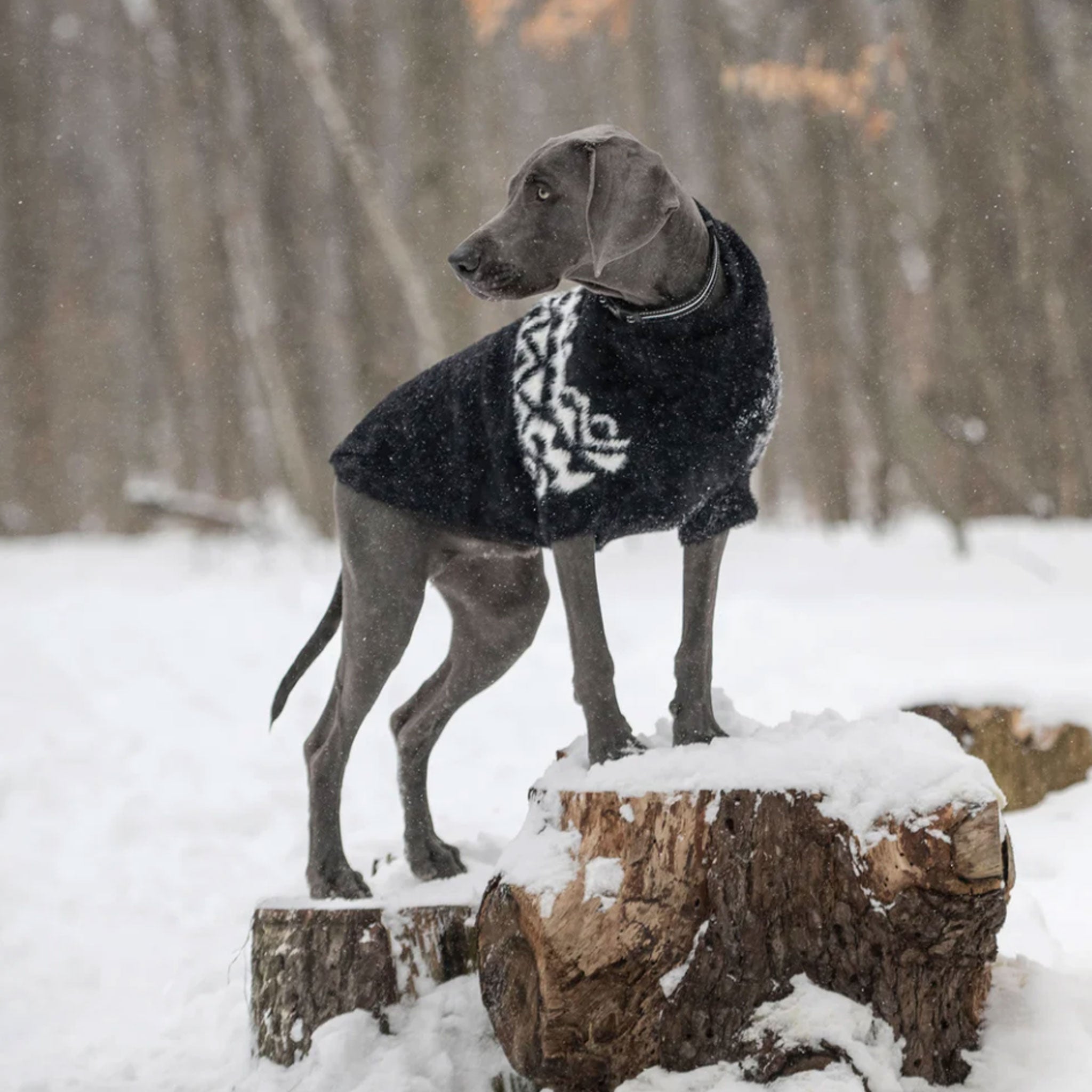 GF Pet Fuzzy Sweater for Dogs - Soft & Warm Winter Dog Clothes, Cozy Knit Puppy Sweater in Black - Perfect for Cold Weather Walks & Indoor Comfort