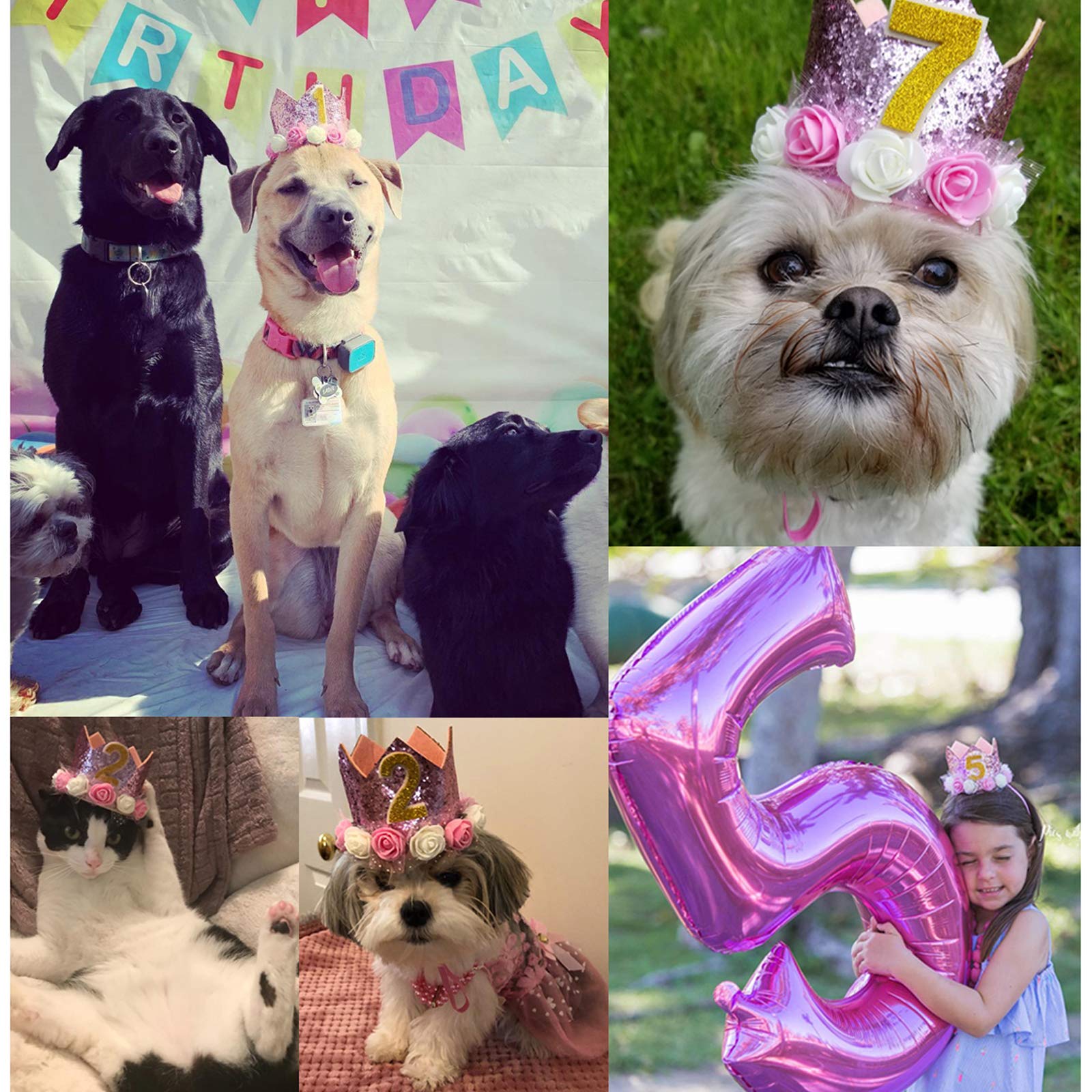 Adjustable Dog Birthday Hat - Reusable Crown Headband for Dogs, Cats, Puppies & Kittens - Pink Pet Party Accessory with Number Decorations | Perfect for Birthday Celebrations, Photo Shoots & Pet Costume Parties