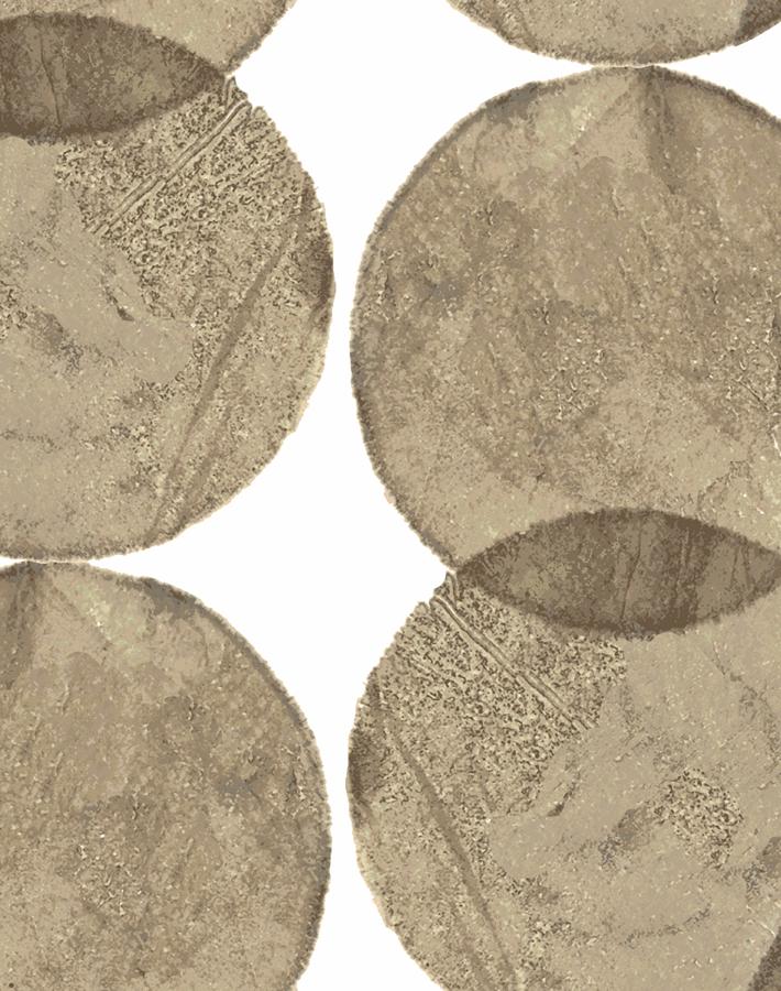Large Dumbo Wallpaper by Chris Benz - Premium Latte Color - Perfect for Nursery, Kids' Room & Disney-Themed Decor