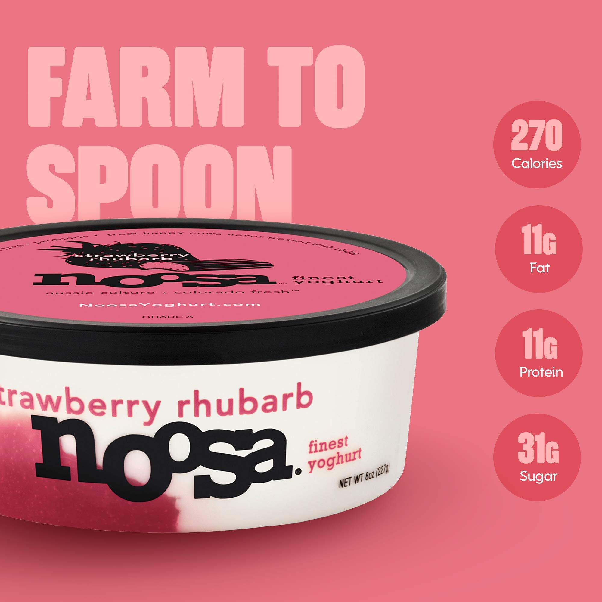 Noosa Yoghurt, Strawberry Rhubarb, 8oz - Probiotic Whole Milk Yogurt with Real Strawberries & Rhubarb, No Artificial Ingredients, Gluten Free - Perfect for Breakfast, Snacks & Healthy Desserts