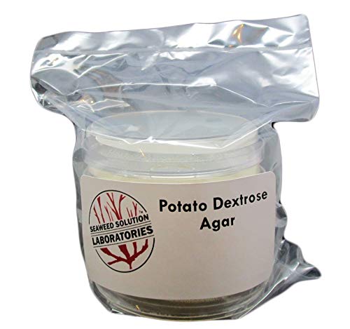 Potato Dextrose Agar (PDA) Sterilized Petri Dishes - 5 Pack (100mm x 15mm) for Mushroom Cultivation & Microbiology Lab Use | Ideal for Home Mycology & Scientific Research