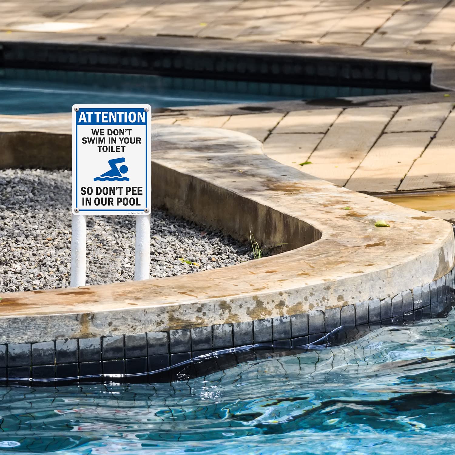 SmartSign Funny Pool Sign - 'We Don't Swim In Your Toilet, So Don't Pee In Our Pool' | 10 x 14 Inch Durable Plastic Sign | Perfect for Swimming Pools, Water Parks & Backyard Decor