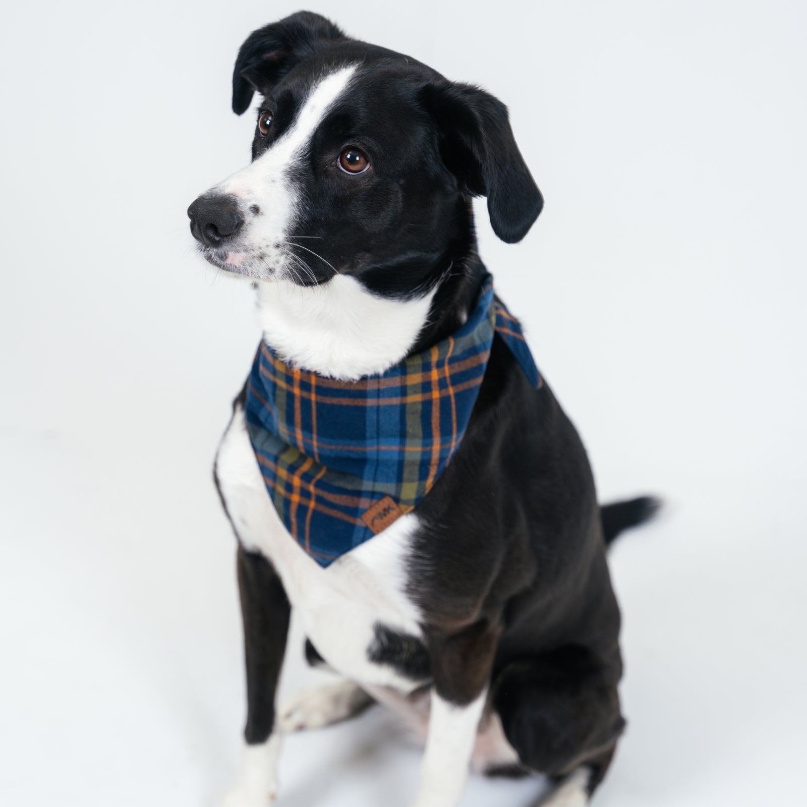 Stylish Dog Bandana for Pets - Boone Pattern Design - Perfect for Outdoor Adventures, Walks, and Special Occasions