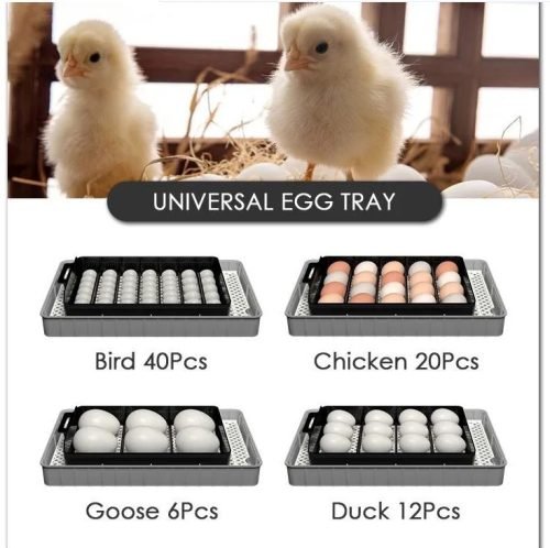 20 Egg Automatic Digital Incubator with Temperature Control & LED Viewing Window - Perfect for Poultry Hatching, Chicken Egg Incubation, and Home Farming Projects