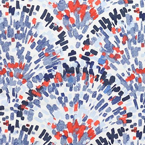 Red/Blue Abstract