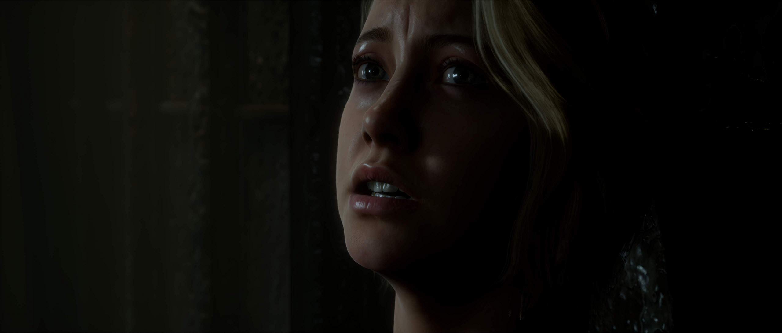 The Dark Pictures: Man of Medan - Horror Adventure Game for PlayStation 4 | Multiplayer Story Mode & Cinematic Experience | Perfect for Game Nights & Thriller Fans
