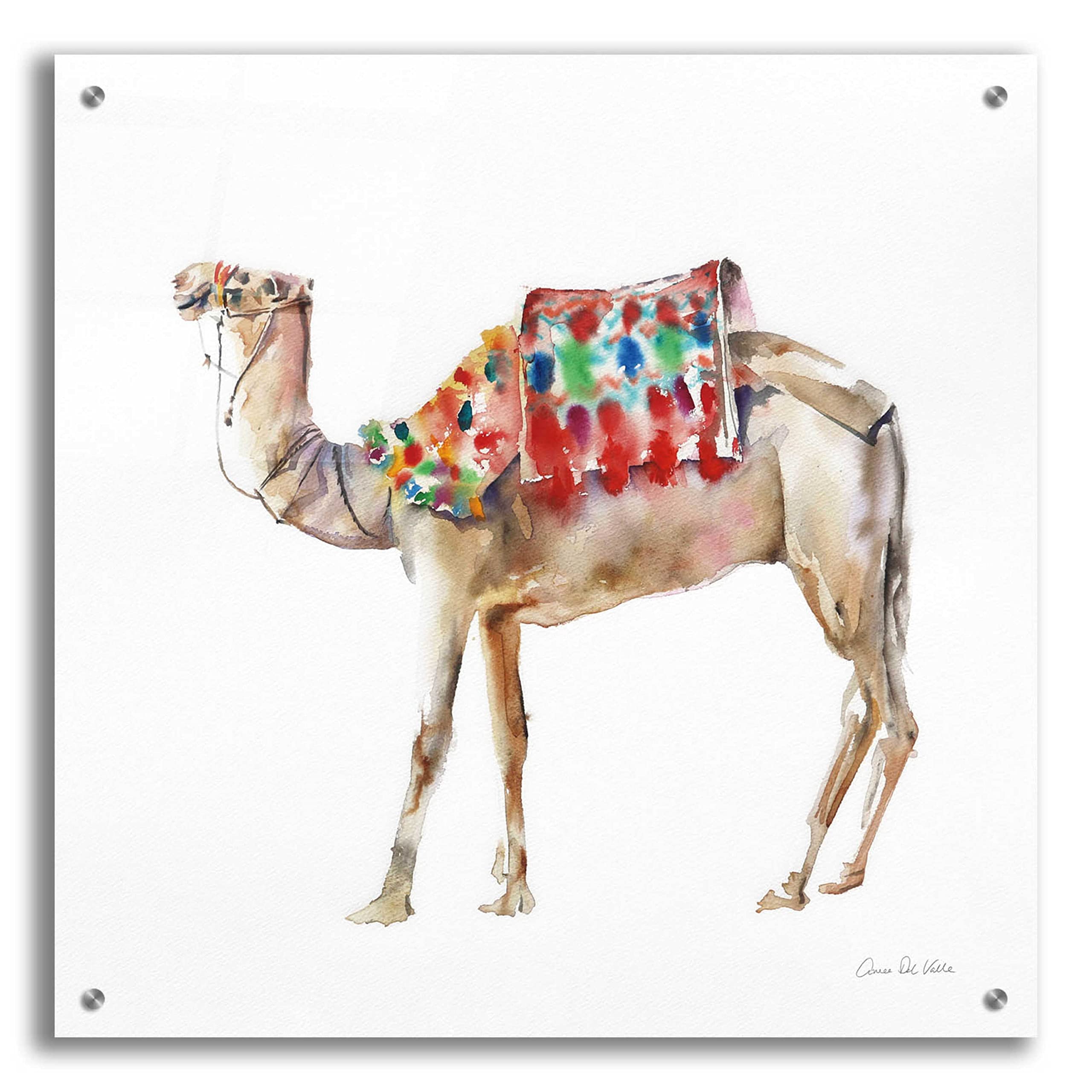 Alan Majchrowicz 'Desert Camel II' Acrylic Glass Wall Art - 24x24 Inches Modern Home Decor for Living Room, Bedroom & Office