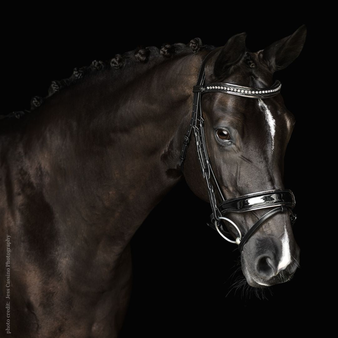 Malvern Saddlery PATENTLY Dressage Bridle - Premium English Equestrian Bridle for Dressage & Show Jumping - Perfect for Training and Competition Riding