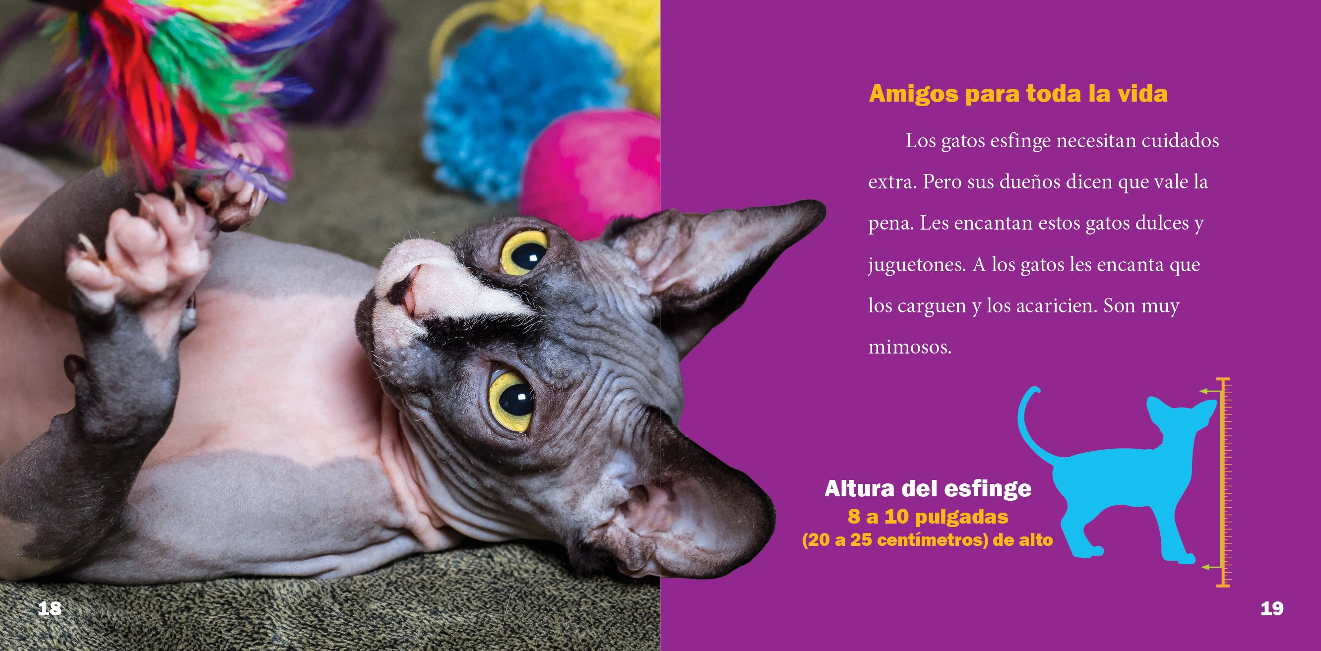 Hairless Cat Clothes for Sphynx Cats - Soft & Warm Pet Outfits for Indoor & Outdoor Use