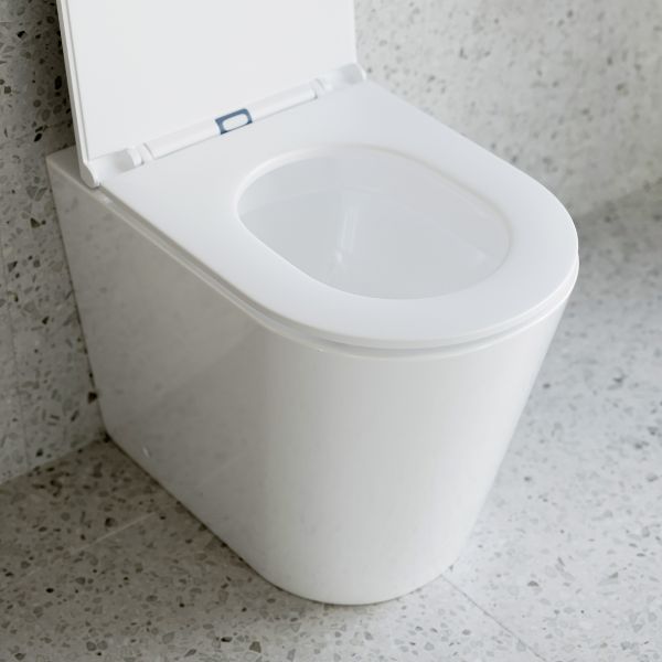 Elegant Wall-Mounted Toilet with Concealed Cistern - Modern Space-Saving Design for Small Bathrooms and Luxury Homes