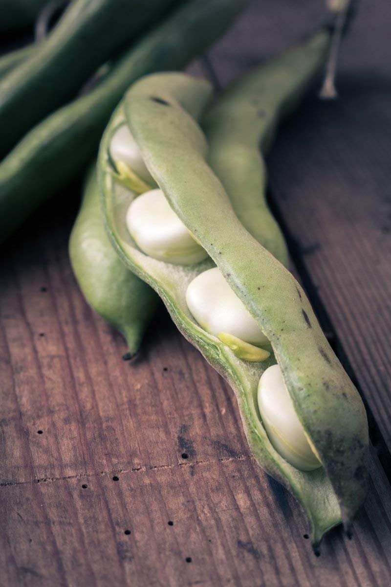 Food to Live Organic Cannellini Beans 15lbs | Non-GMO Dried White Kidney Beans | Sproutable Vegan Kosher Bulk Beans | High in Fiber & Protein | Perfect for Minestrone Soup, Bean Salad & Healthy Meal Prep