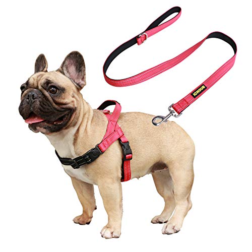 Red Harness with Leash