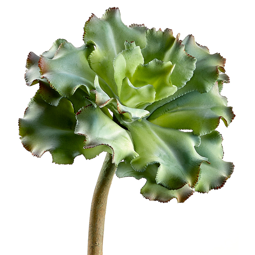 10 Pack Artificial Ruffled Echeveria Succulent Stems - Green & Gray Fake Plants for Home Decor, Wedding Centerpieces, Office Desk Decorations