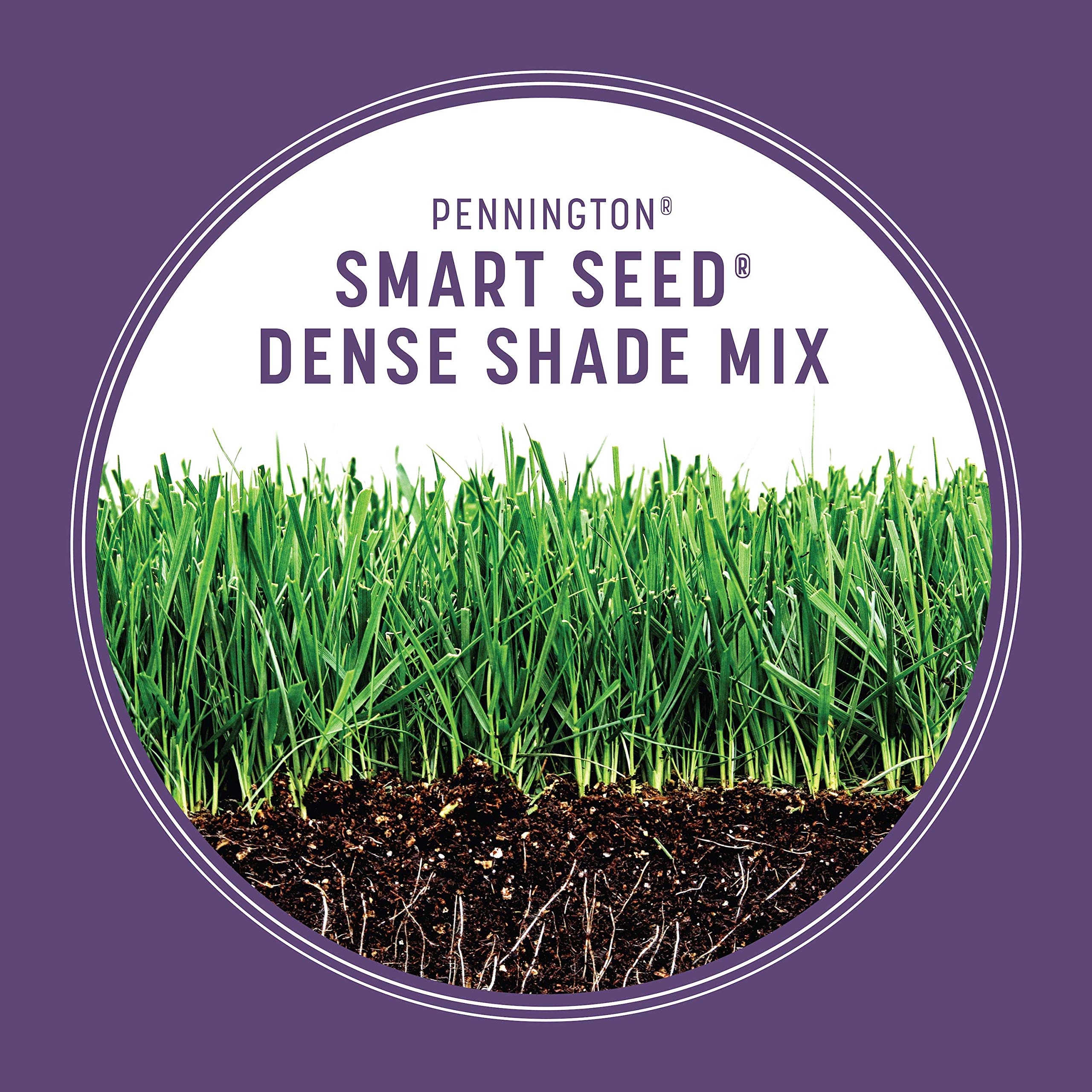 Pennington Smart Seed Dense Shade Grass Mix 3 lb - Premium Shade-Tolerant Grass Seed for Lawns | Perfect for Low-Light Areas, Under Trees & Northern Yards