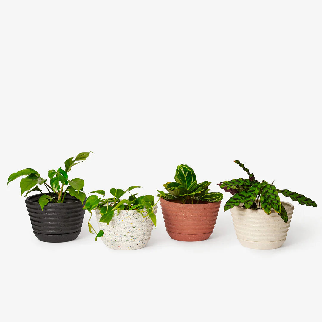 Racine Planter - Premium Indoor/Outdoor Plant Pots for Home & Garden Decor - Perfect for Succulents, Herbs, and Flowers