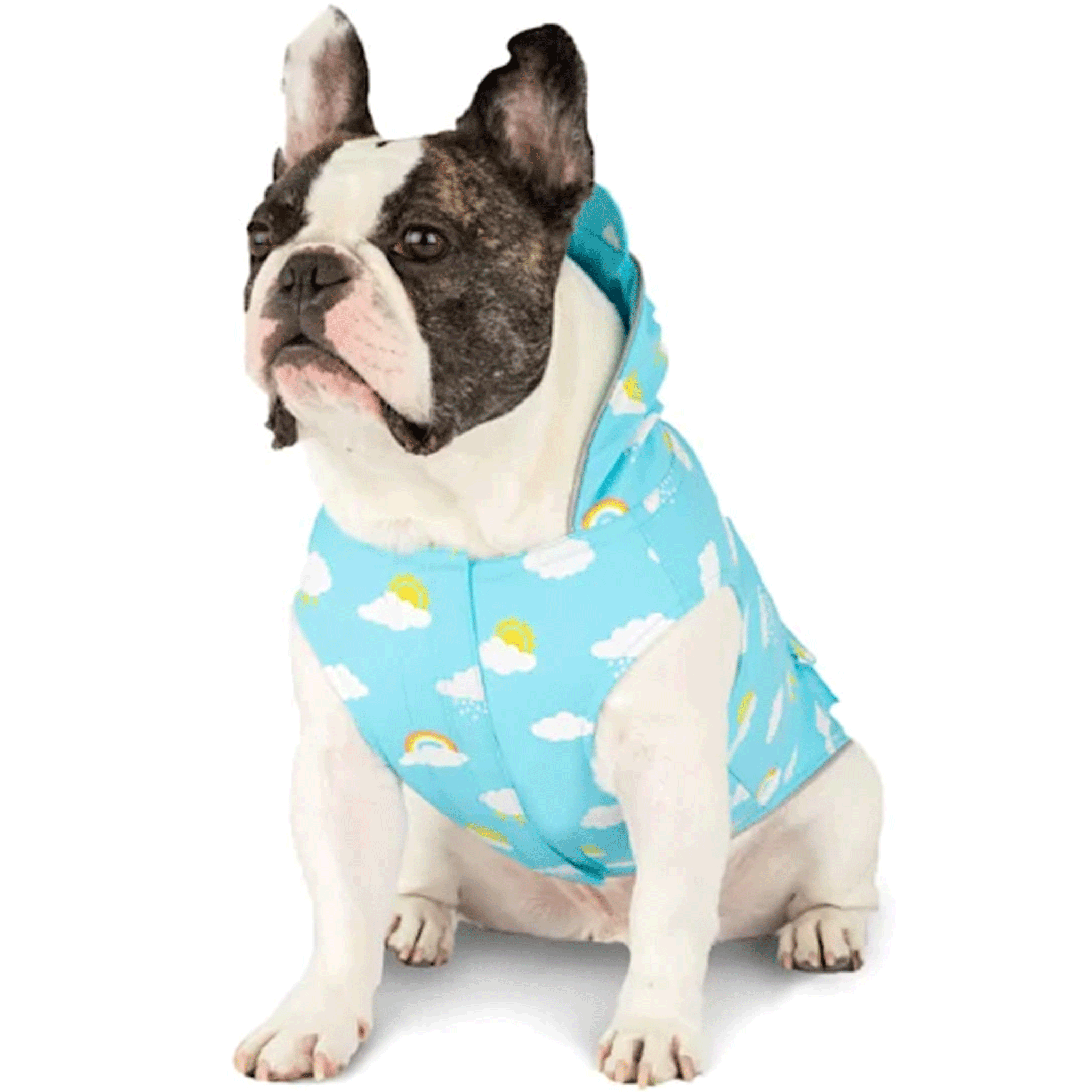 Canada Pooch Waterproof Dog Raincoat - Reflective & Adjustable for Outdoor Adventures - Perfect for Hiking, Walking, and Rainy Day Play
