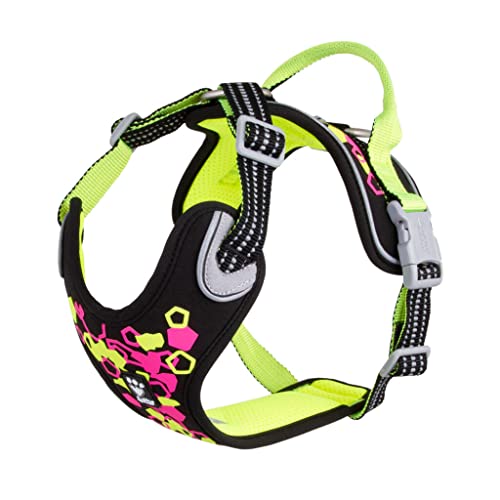 Neon/Licorice