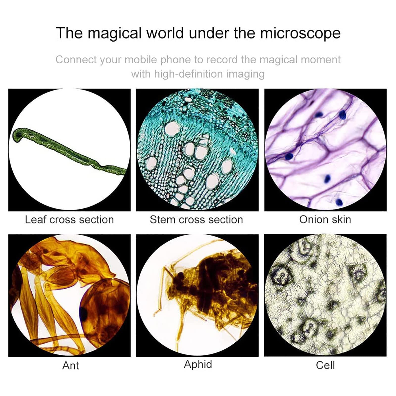 High-Powered Binocular Microscope for Kids, Students & Adults - 15000x Magnification with Dual LED Illumination & Phone Adapter | Perfect for Science Experiments, Classroom Learning & Home Education | Compatible with Computers & Mobile Phones