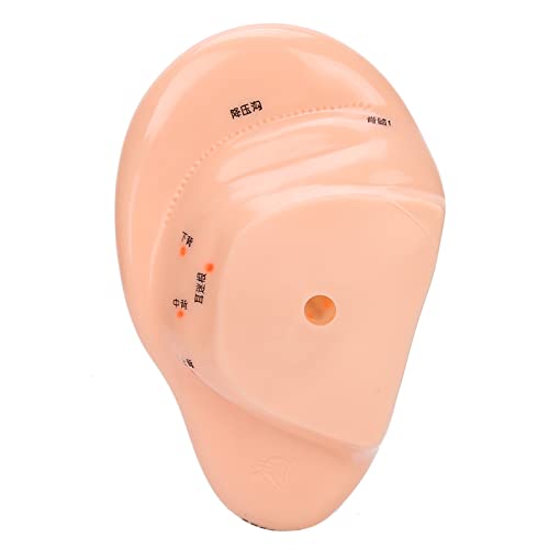 Ear Massage Acupuncture Model - Durable PVC Ear Acupressure Tool for Home Relaxation & Pain Relief - Perfect for Stress Relief, Headache Treatment, and Wellness Therapy