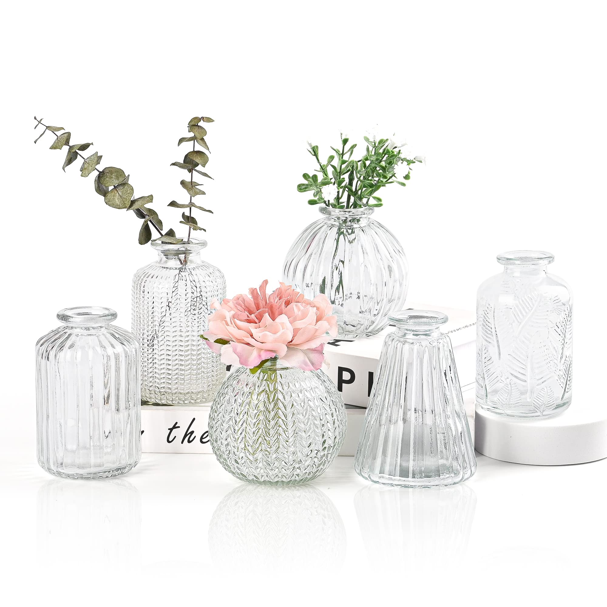 EylKoi 6-Piece Set Small Glass Flower Vases - Clear Bud Vases in Different Shapes for Weddings, Home Decor & Table Centerpieces | Perfect for Wedding Decorations, Home Events & Floral Arrangements
